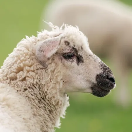 Apartamento Auf Dem Lande / Nahe Spo *