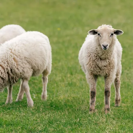Auf Dem Lande / Nahe Spo Appartement