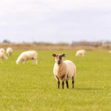 Appartement Auf Dem Lande / Nahe Spo