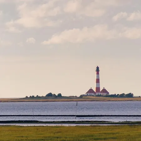 Auf Dem Lande / Nahe Spo