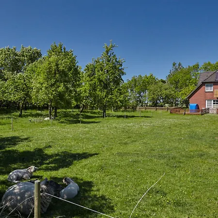 Auf Dem Lande / Nahe Spo *