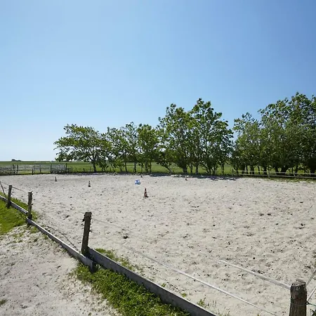 Auf Dem Lande / Nahe Spo *